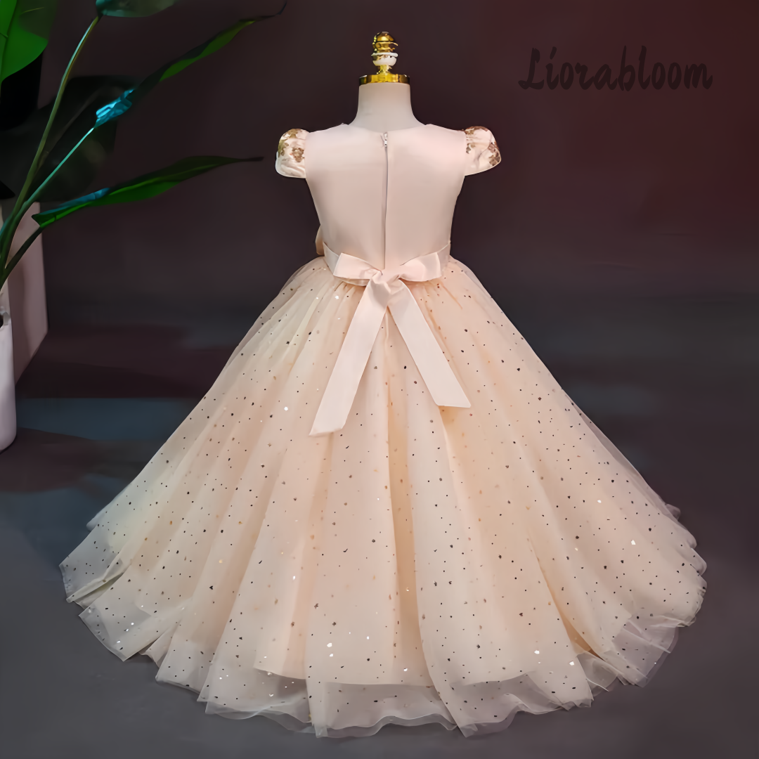 Formal Multicolor Evening Gown - огляд і ціна Formal Wear Gowns For Women