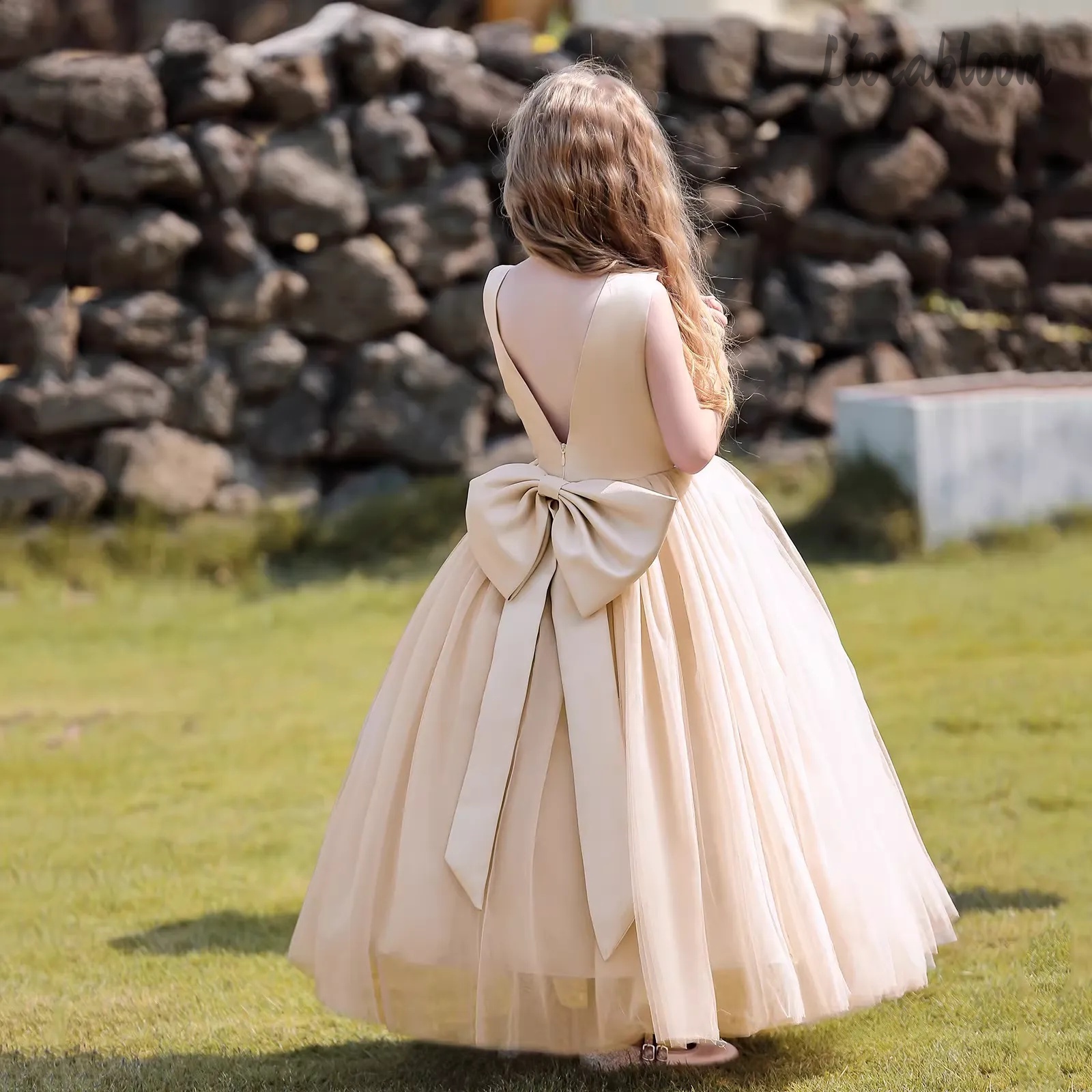 Multicolor Backless Princess D - огляд і ціна Formal Wear Gowns For Women